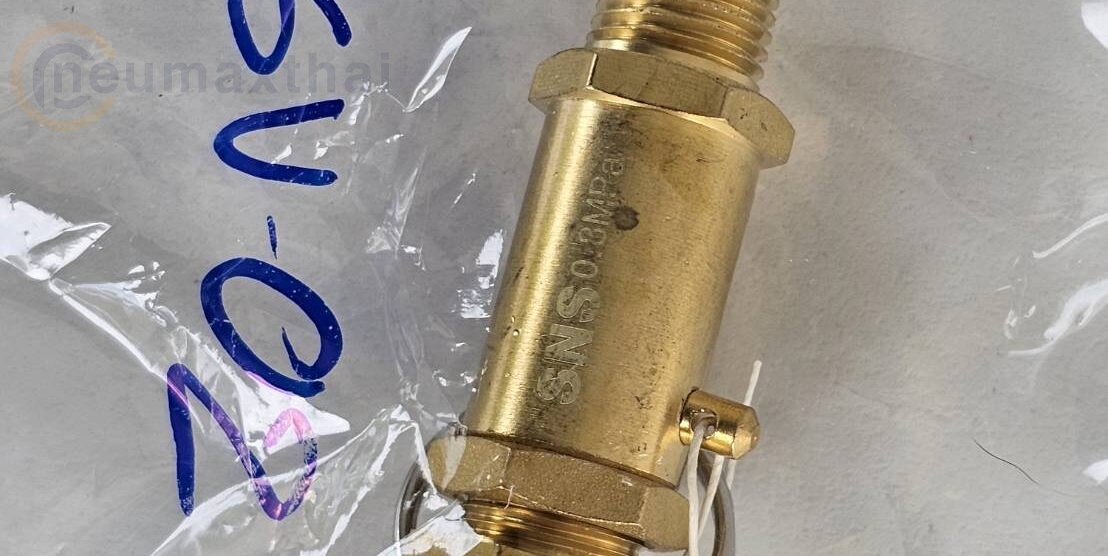 ส่ง SV-02 POLO SAFETY VALVE 1/4″ ,SNS