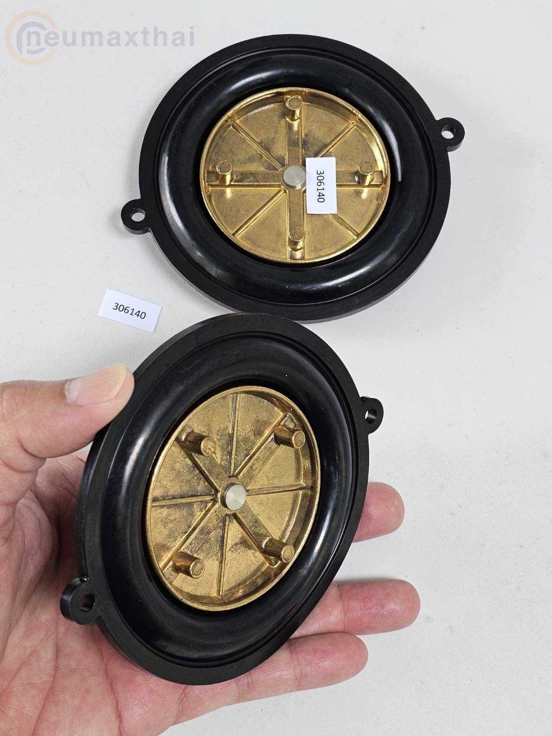 306140  DIAPHRAGM FOR 7321BGN00 