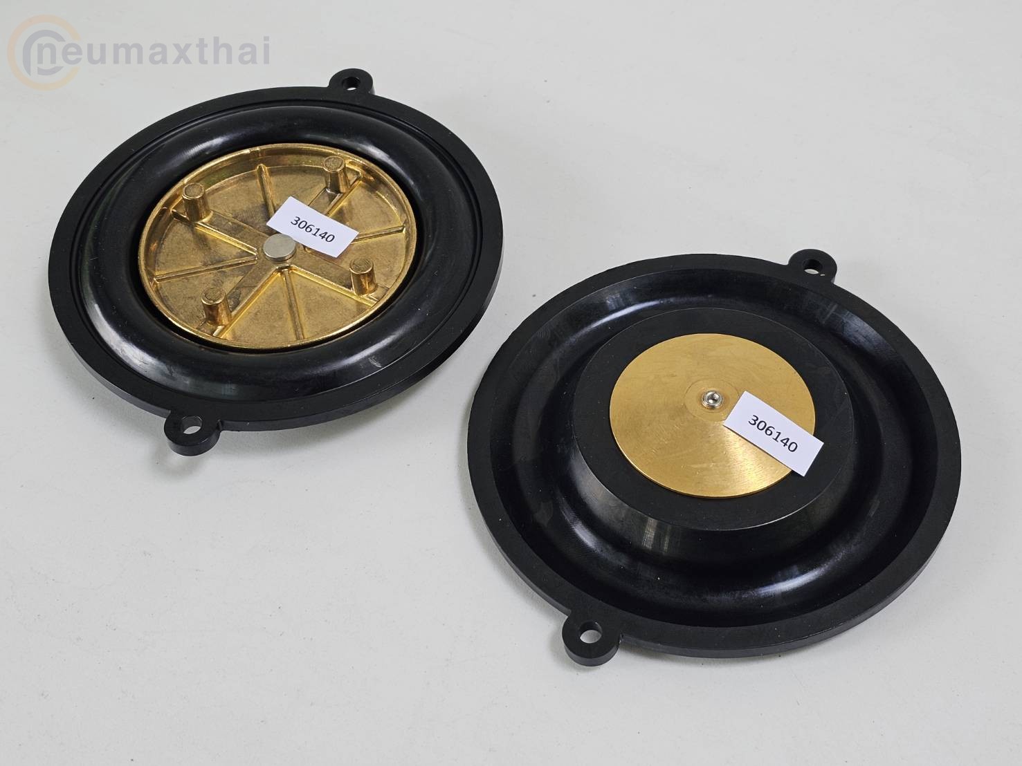 306140  DIAPHRAGM FOR 7321BGN00 