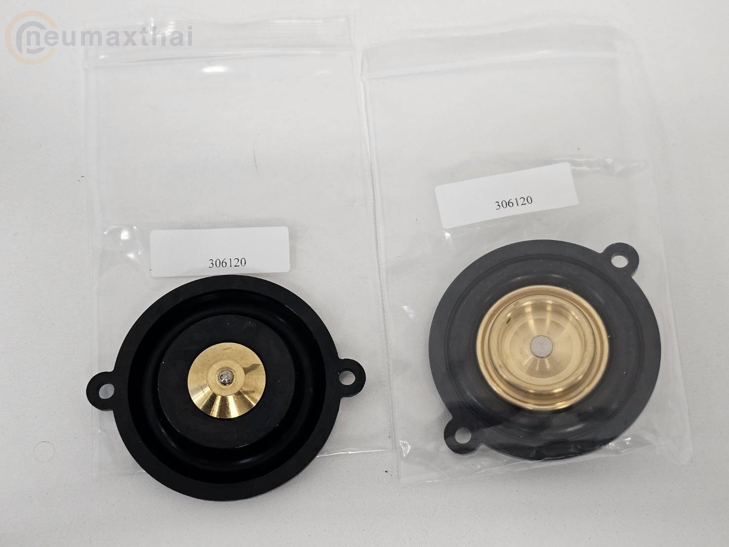 306120 DIAPHRAGM