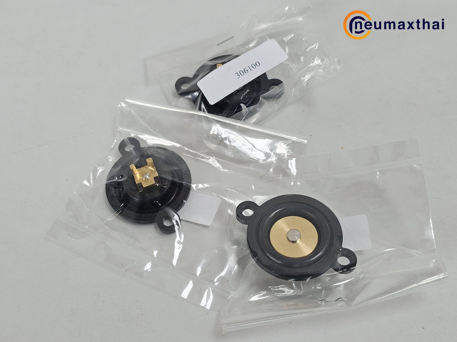 306100 NBR DIAPHRAGM