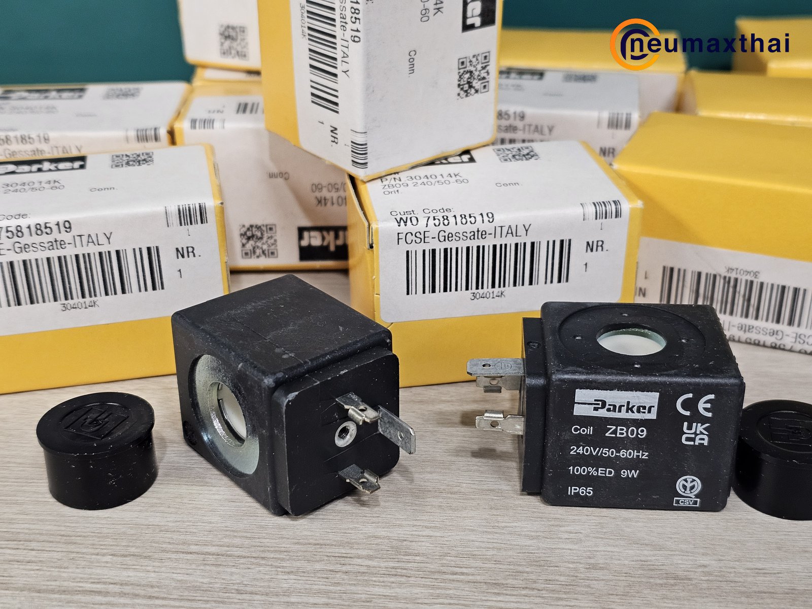 304014 ZB09-AC240V "PARKER"