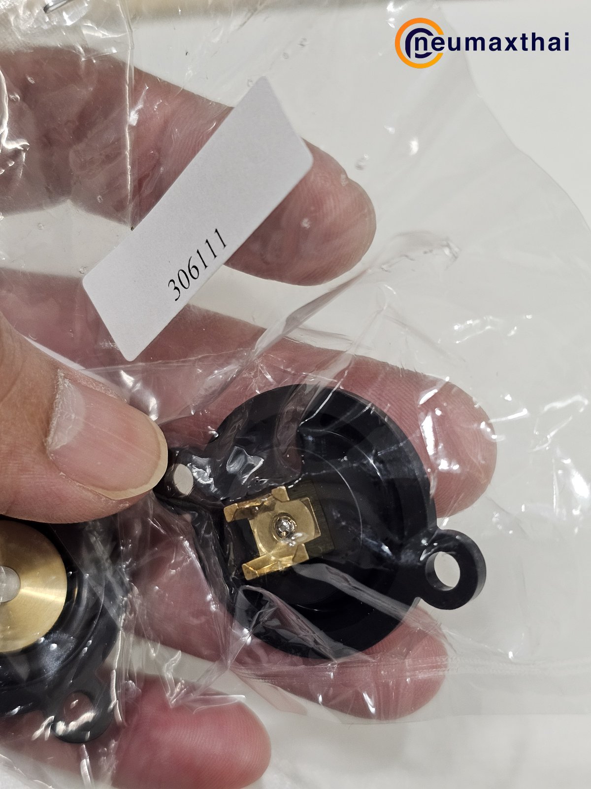 306111-DP DIAPHRAGM (VITON)
