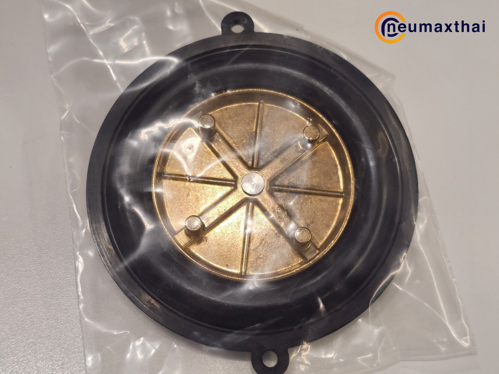 306140  DIAPHRAGM FOR 7321BGN00