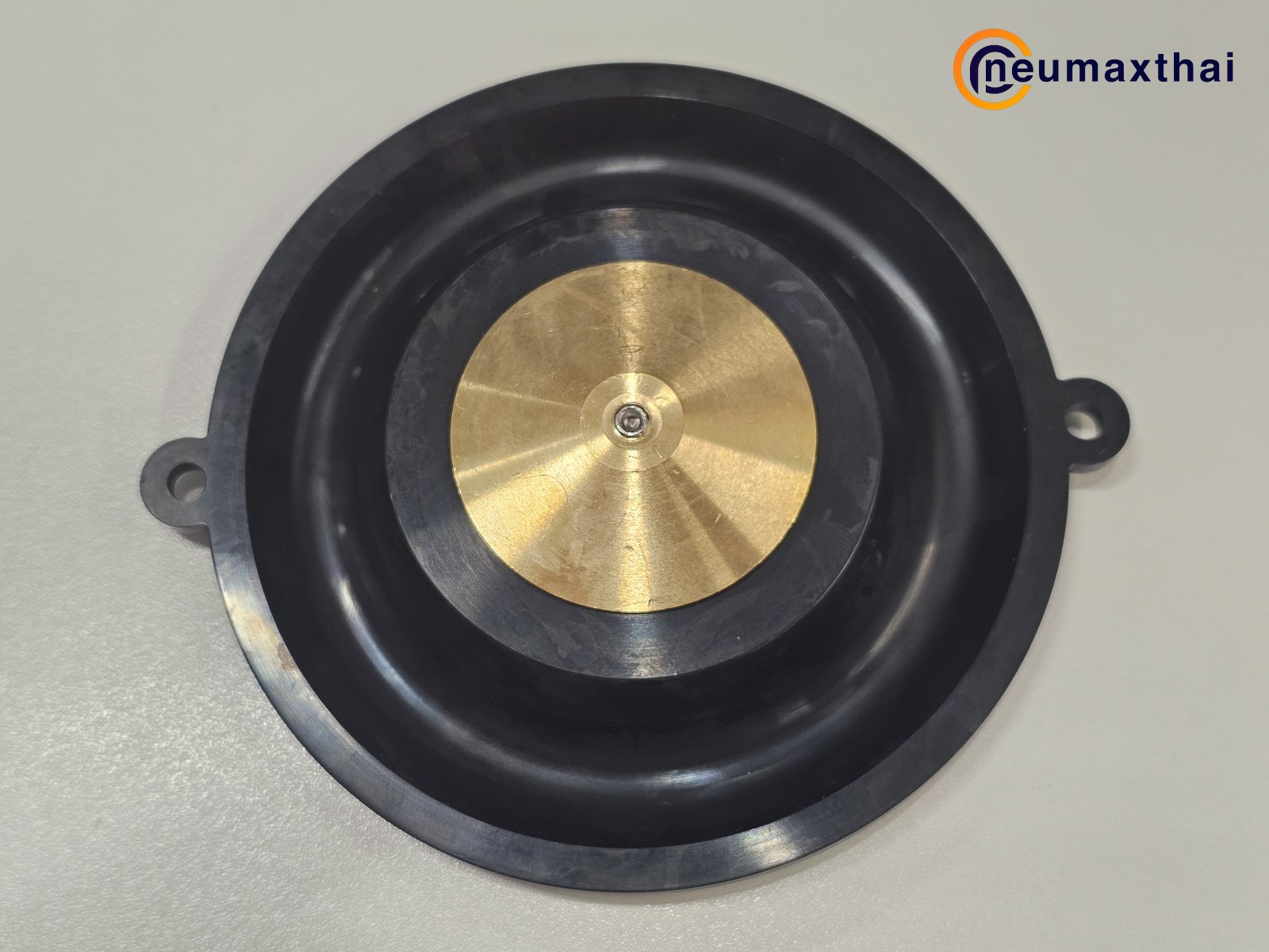306140  DIAPHRAGM FOR 7321BGN00