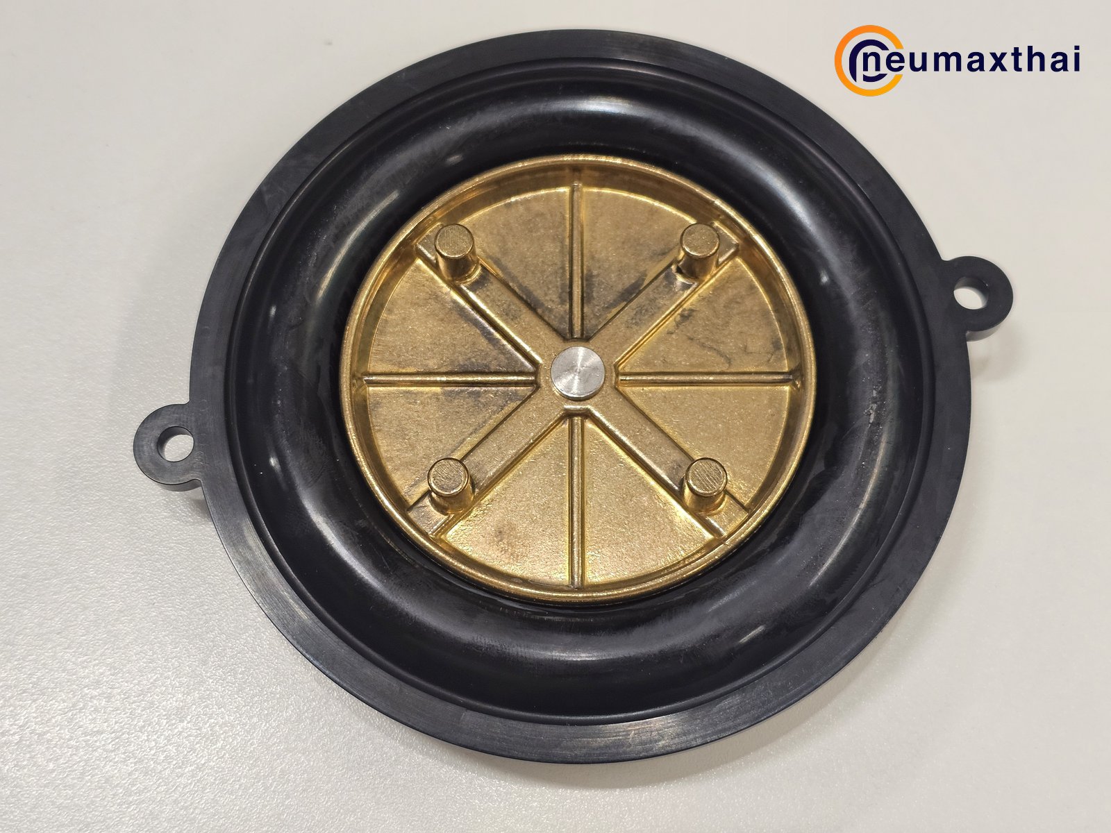 306140  DIAPHRAGM FOR 7321BGN00