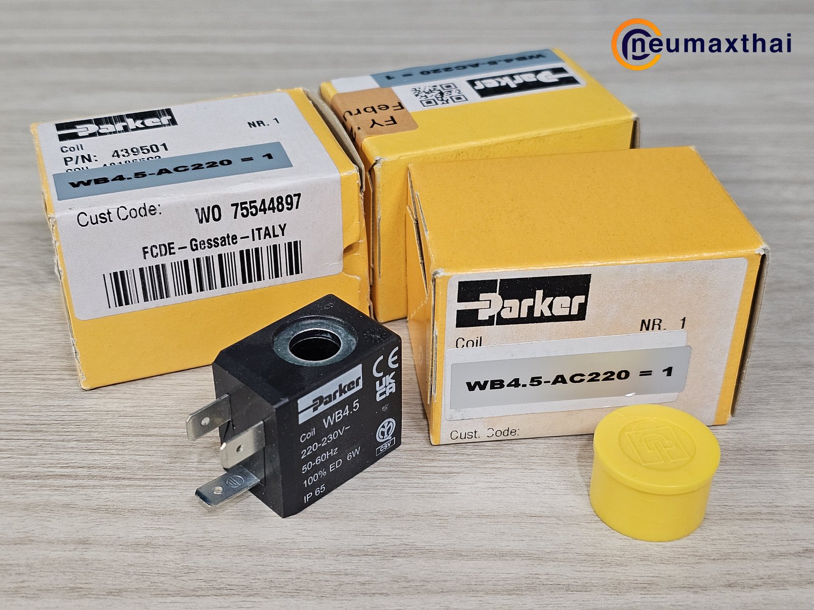 WB4.5-AC220  "PARKER"