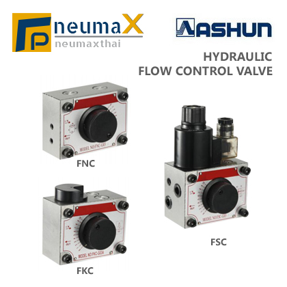 ASHUN-Solenoid Operated Directional Control Valves