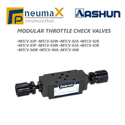 ASHUN-MTCV Series โมดูลาร์ Throttle check valves